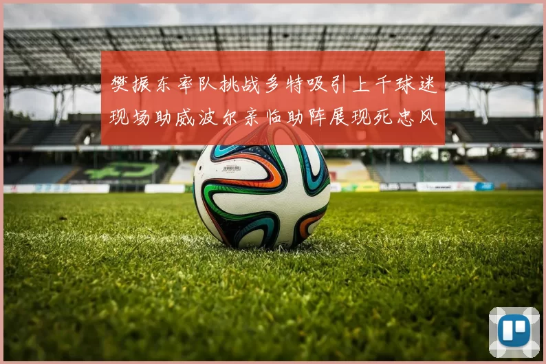 樊振东率队挑战多特吸引上千球迷现场助威波尔亲临助阵展现死忠风采